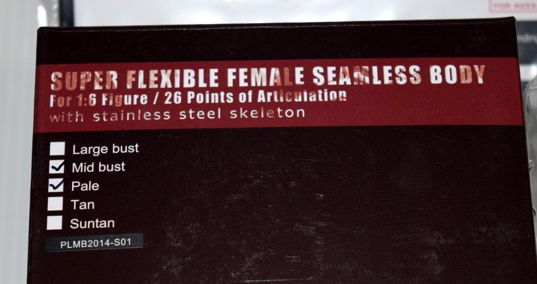 1/6 TBLeague 超柔軟性シームレス素体　PLMB2014-S01