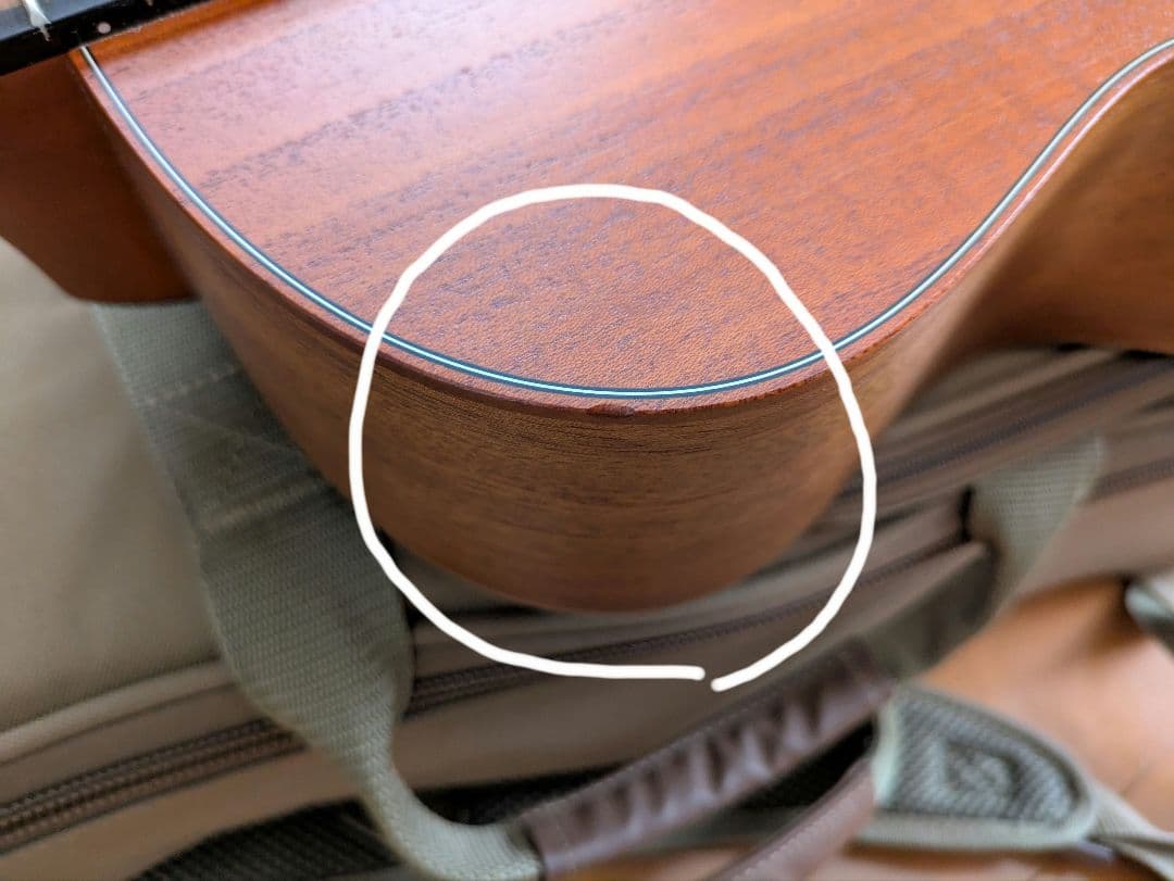 Taylor GS Mini　Mahogany【2022製】