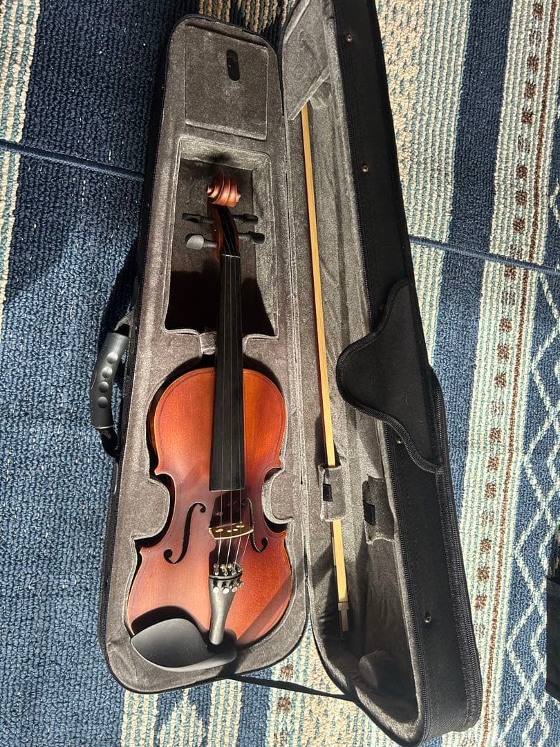 Hallstatt V-12 4/4 バイオリン 本体 ケース付き ヴァイオリン