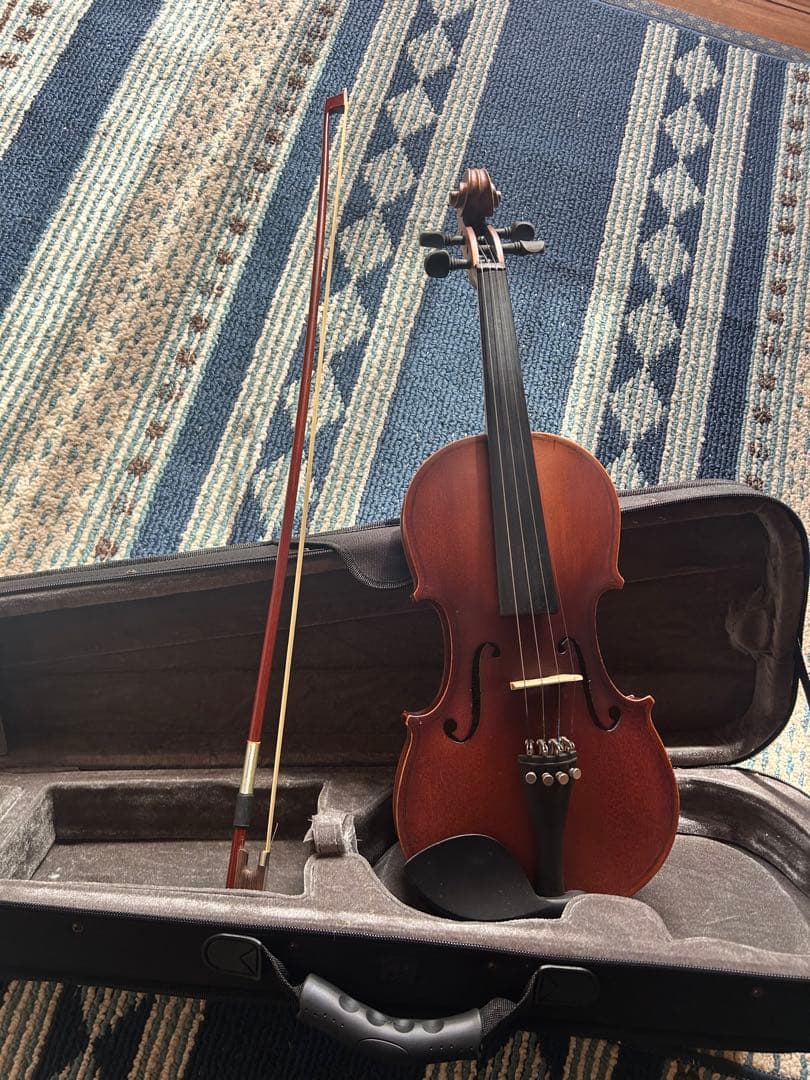 Hallstatt V-12 4/4 バイオリン 本体 ケース付き ヴァイオリン