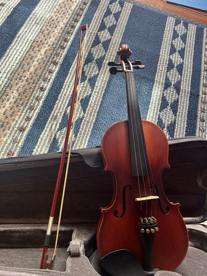 Hallstatt V-12 4/4 バイオリン 本体 ケース付き ヴァイオリン