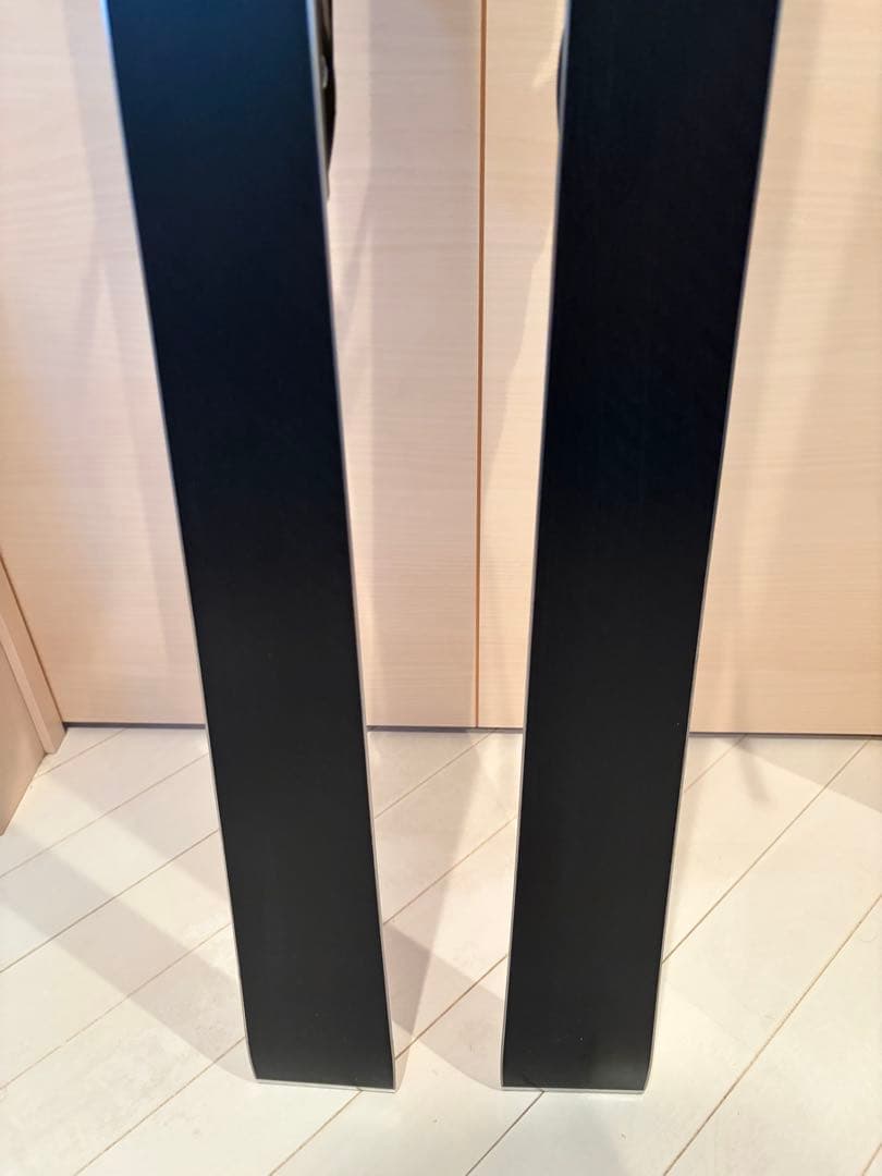 HEAD Worldcup Rebels GS 176cmスキー 板