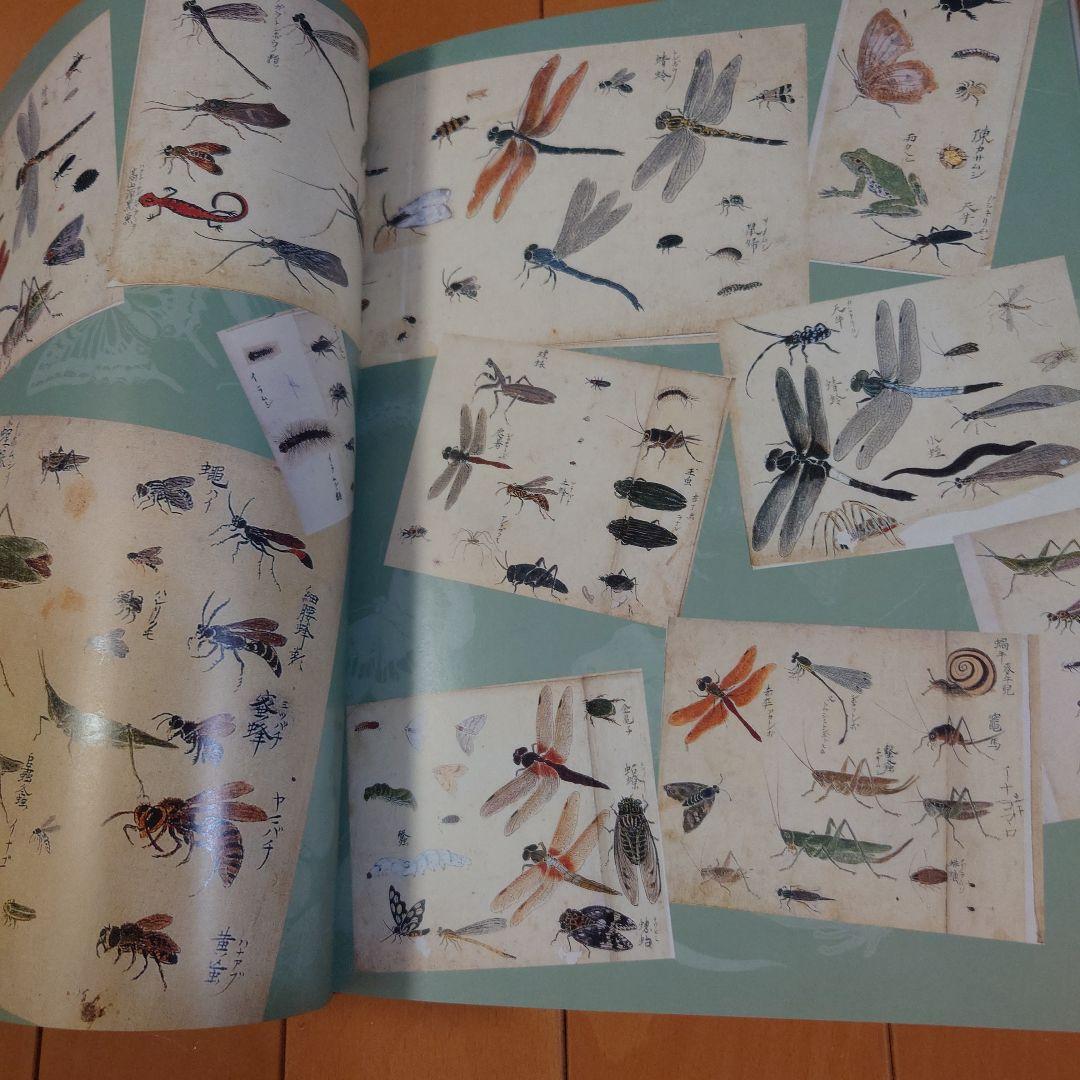 柴田是真 スケッチ集