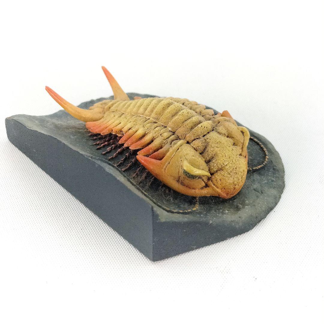 国立科学博物館 三葉虫 セロウリネラ フィギュア 海洋堂 限定