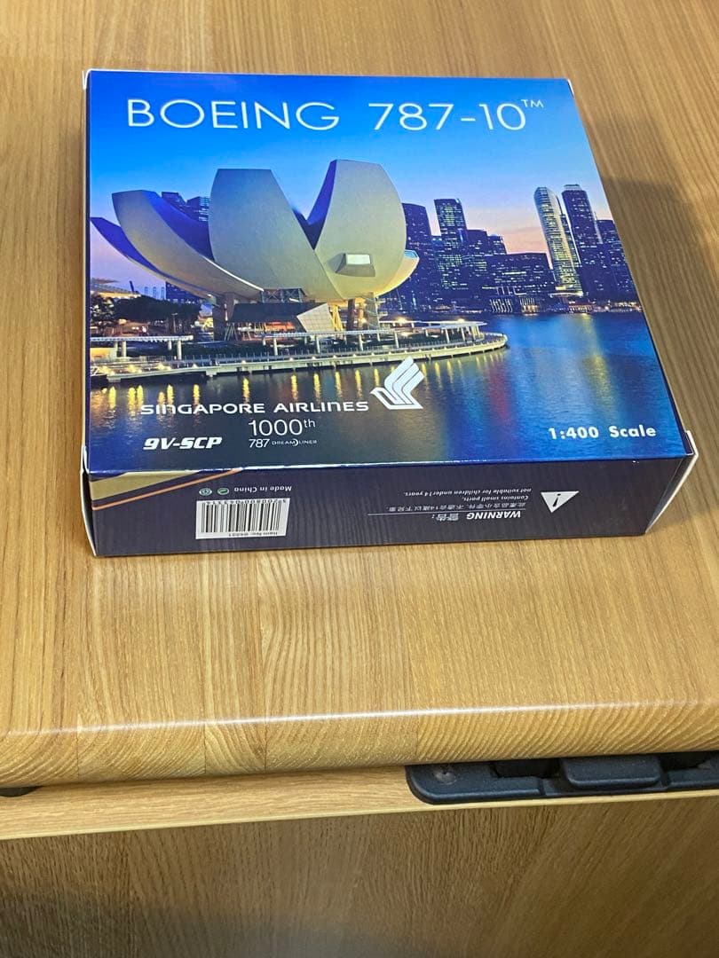 最終値下げ　 シンガポール航空Boeing787-10
