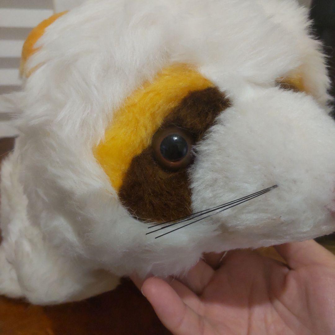 ぬいぐるみ アライグマ べべちゃん 昭和 レトロ ヴィンテージ あらいぐま