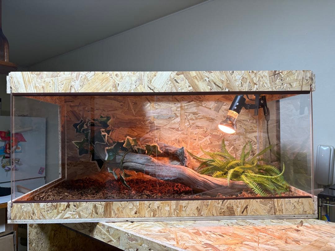 フミフミ　903940 サイドアクリル