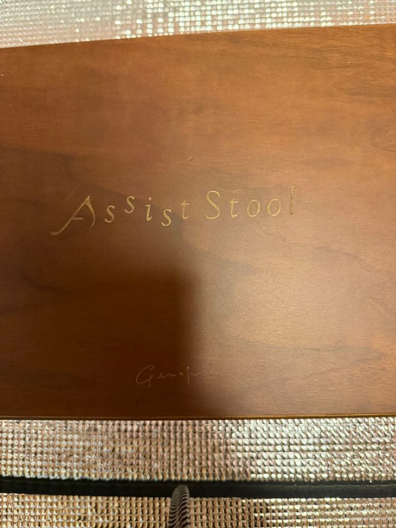Genepis NEW AssistStool アシストスツール　アシストペダル