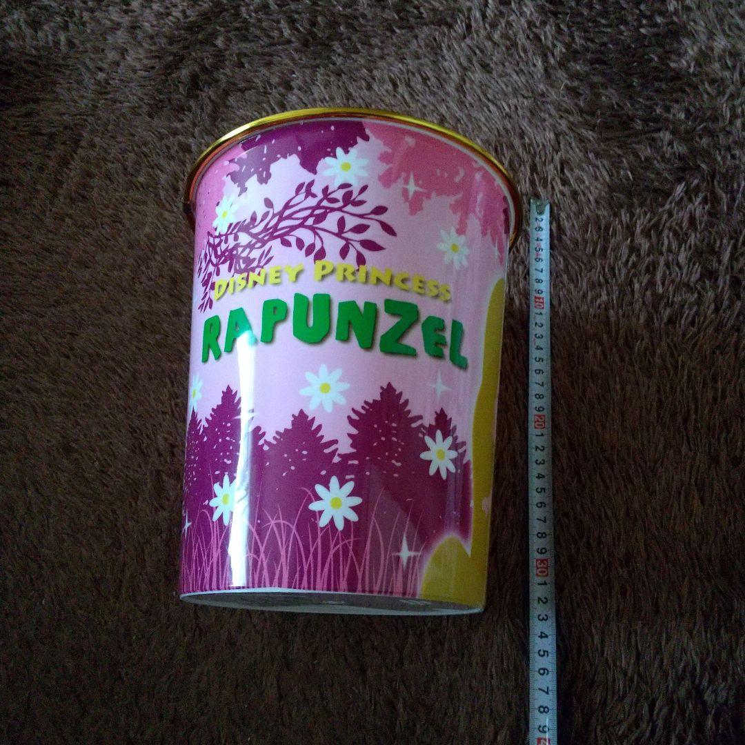 ディズニー グッズ プリンセス Disney ラプンツェル ダストボックス 新品