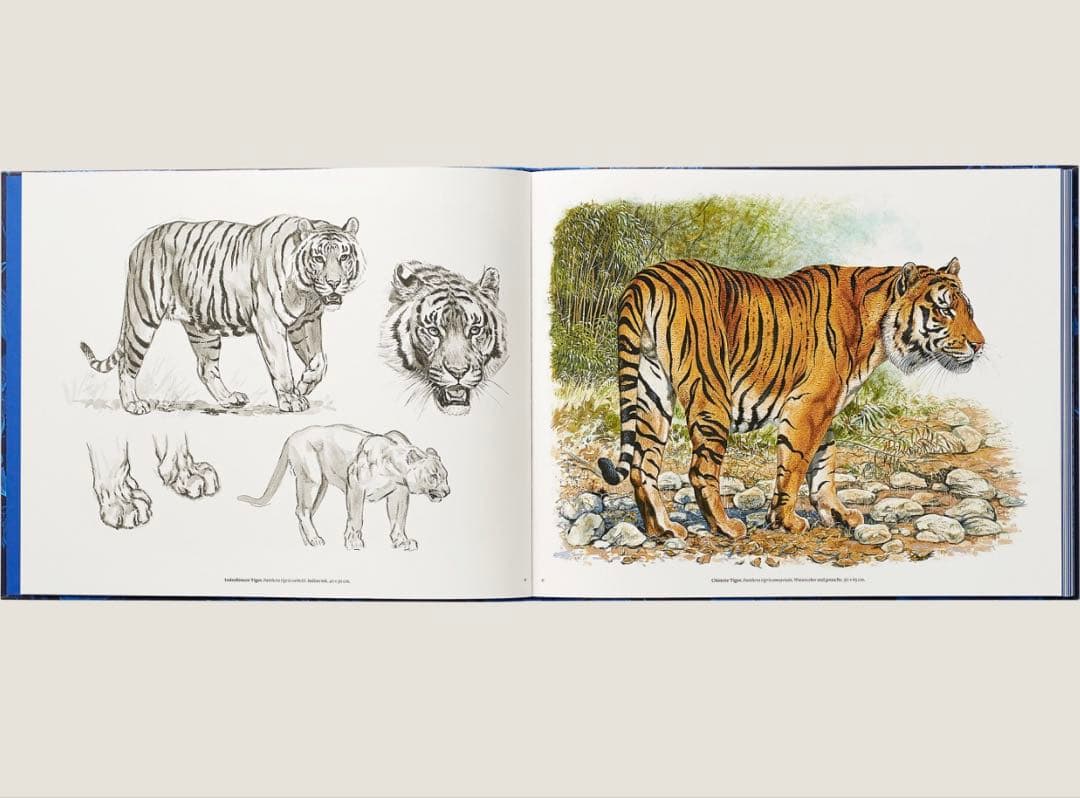 エルメス Ferocious and Fragile book アニマルブック