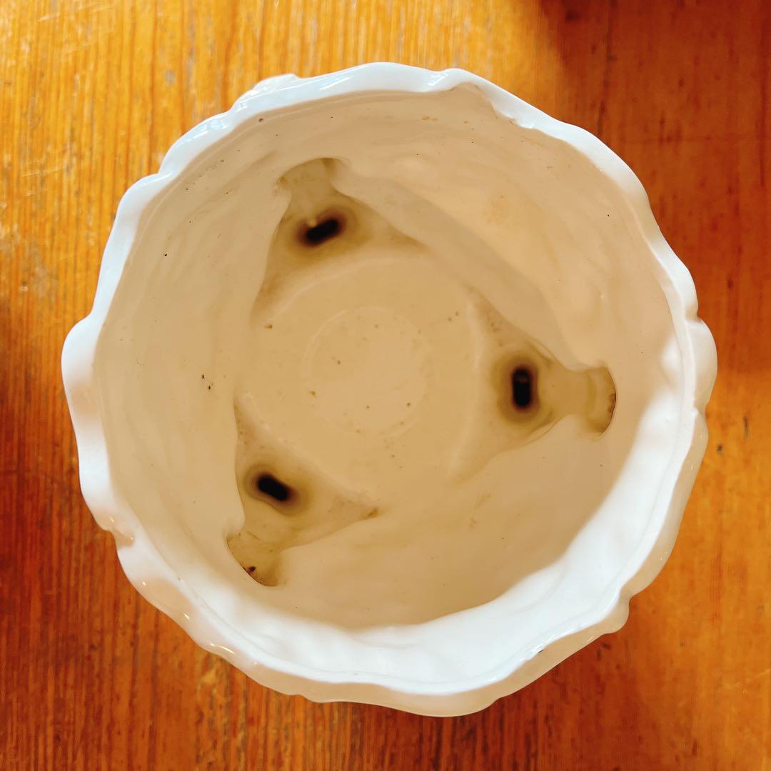 フランス　天使の鉢カバー