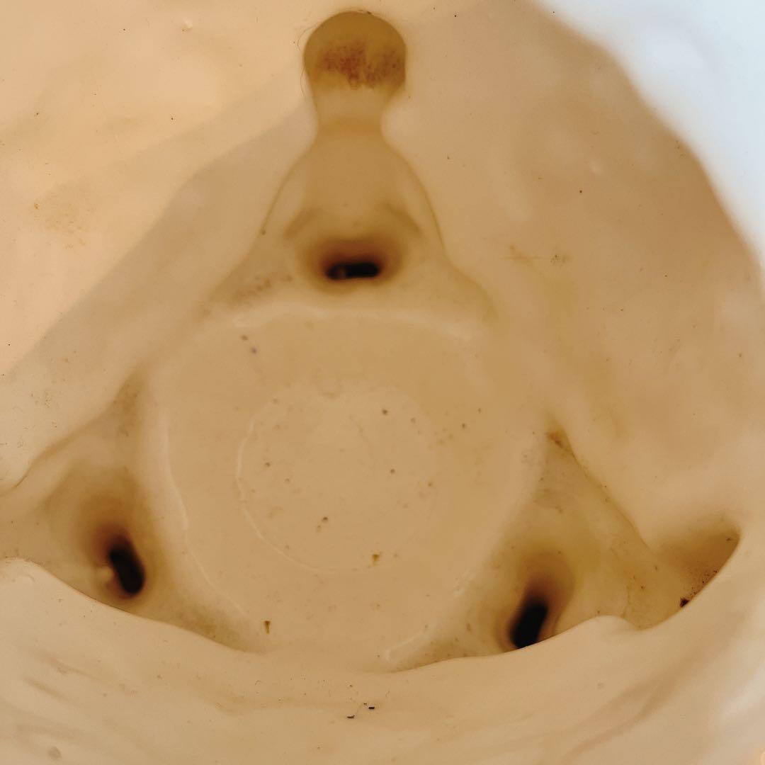 フランス　天使の鉢カバー