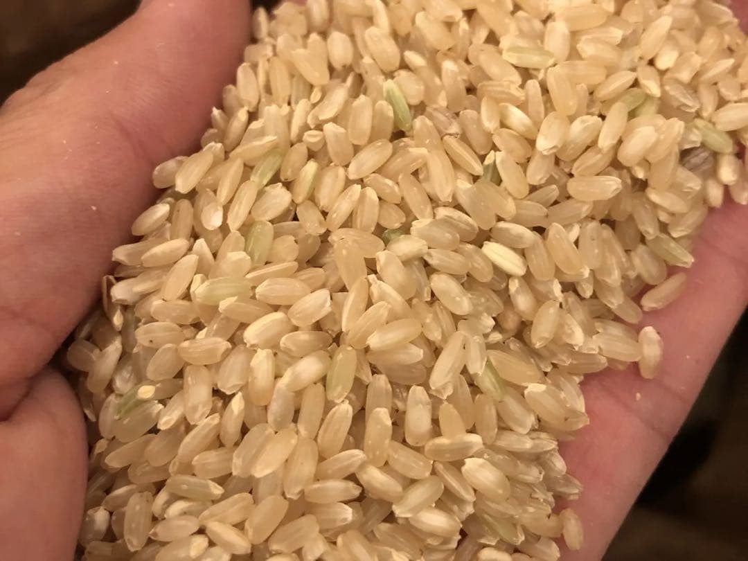 令和7年産　長野県松本市産プリンセスサリー　玄米24kg