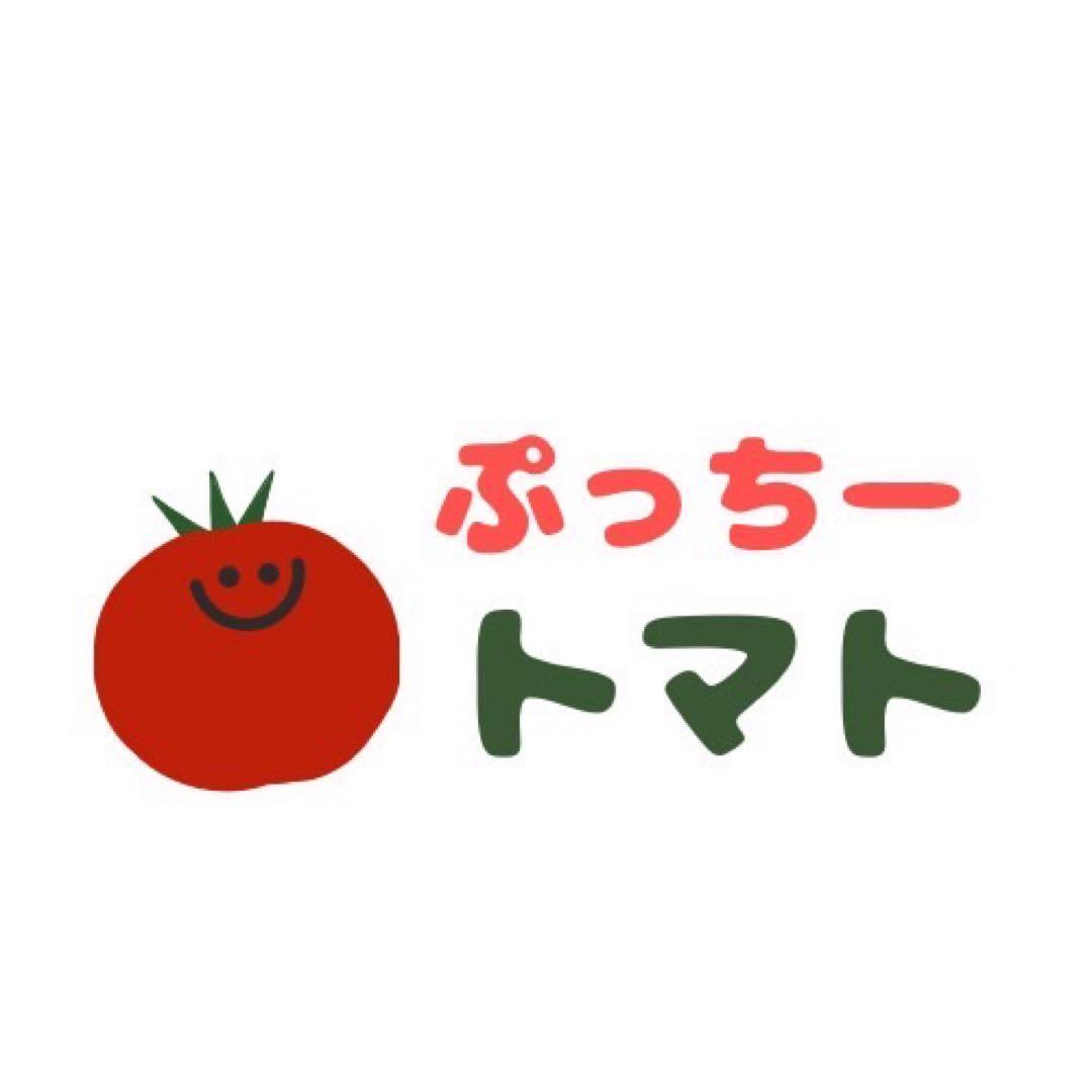 ミニトマト　10キロ　野菜　熊本　おやつ　弁当　おかず　ミネラル　リコピン