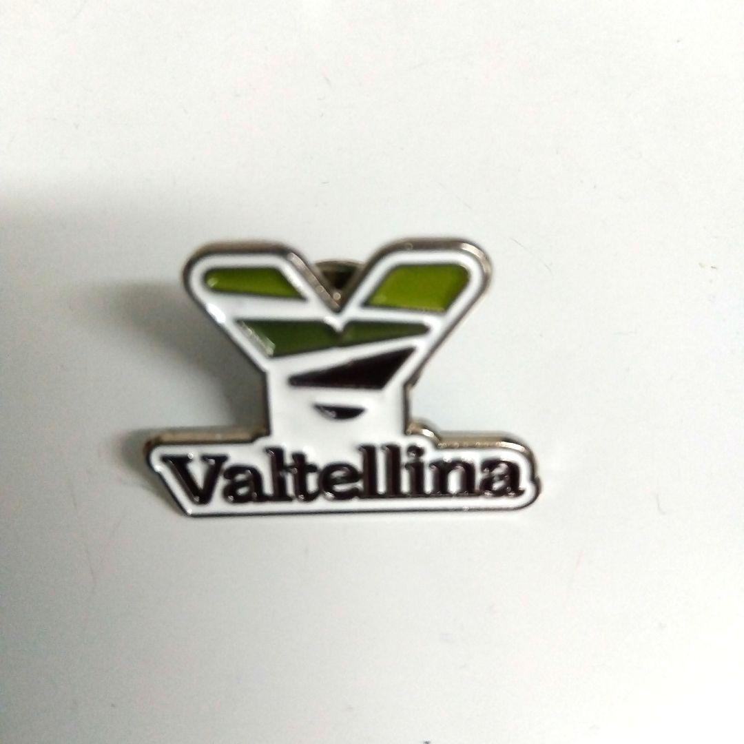 大阪関西万博　イタリア館　非売品　ピンバッチ　ピンズ　Valtellina　希少