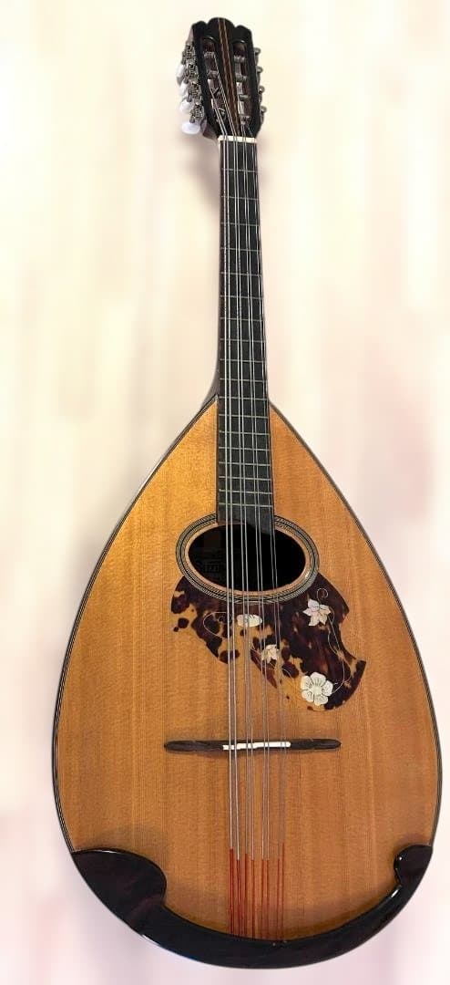 鈴木バイオリン　マンドセロMC-836 Made in Japan希少