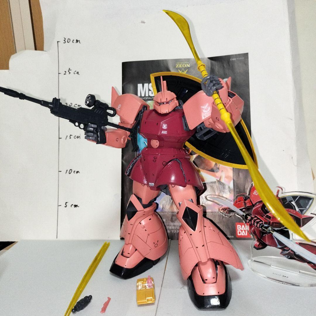 MS-06S シャア専用ザク II 1/100