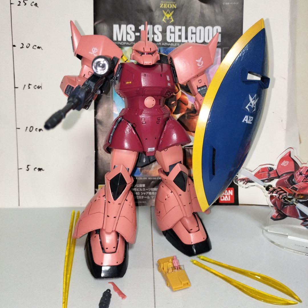 MS-06S シャア専用ザク II 1/100