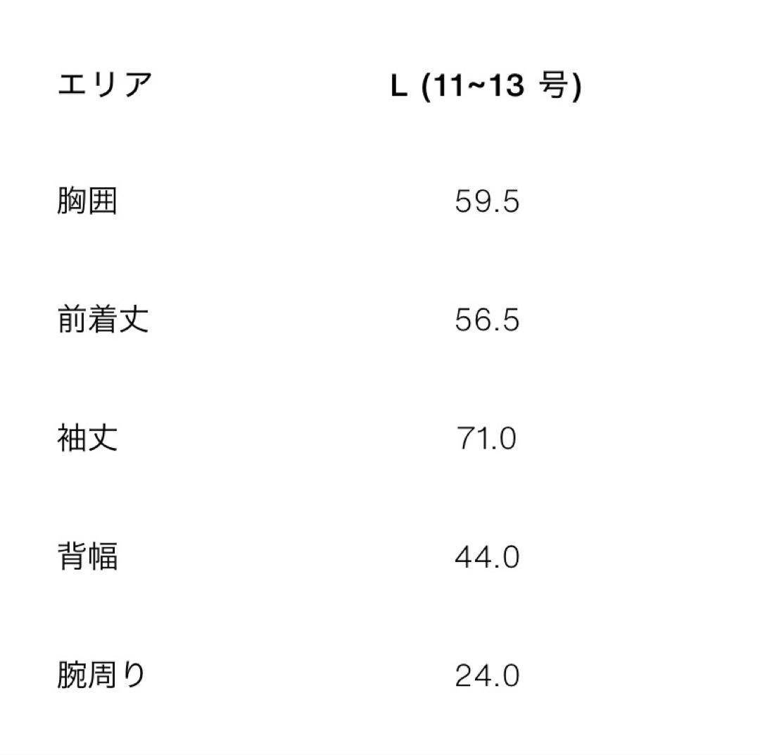 今季新作ZARA RECCOR テクノロジ スキーコレクション スキーウェア上下