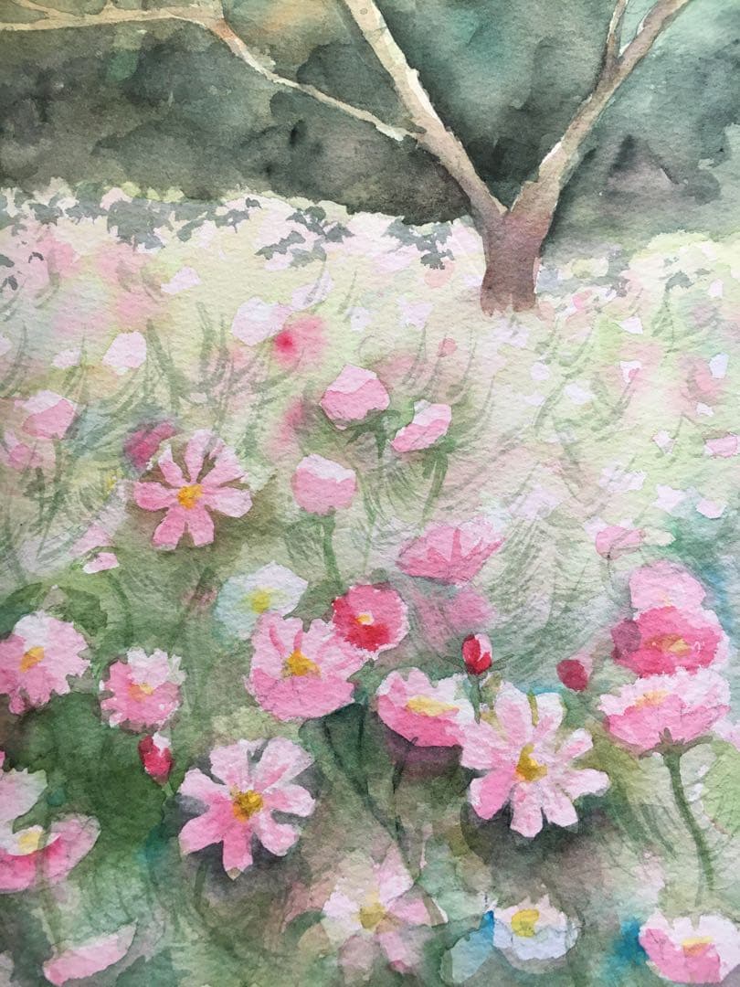 透明水彩画原画風に揺れるコスモスたち