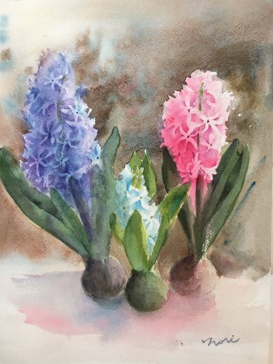 水彩画原画ヒヤシンス