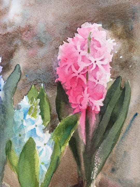 水彩画原画ヒヤシンス