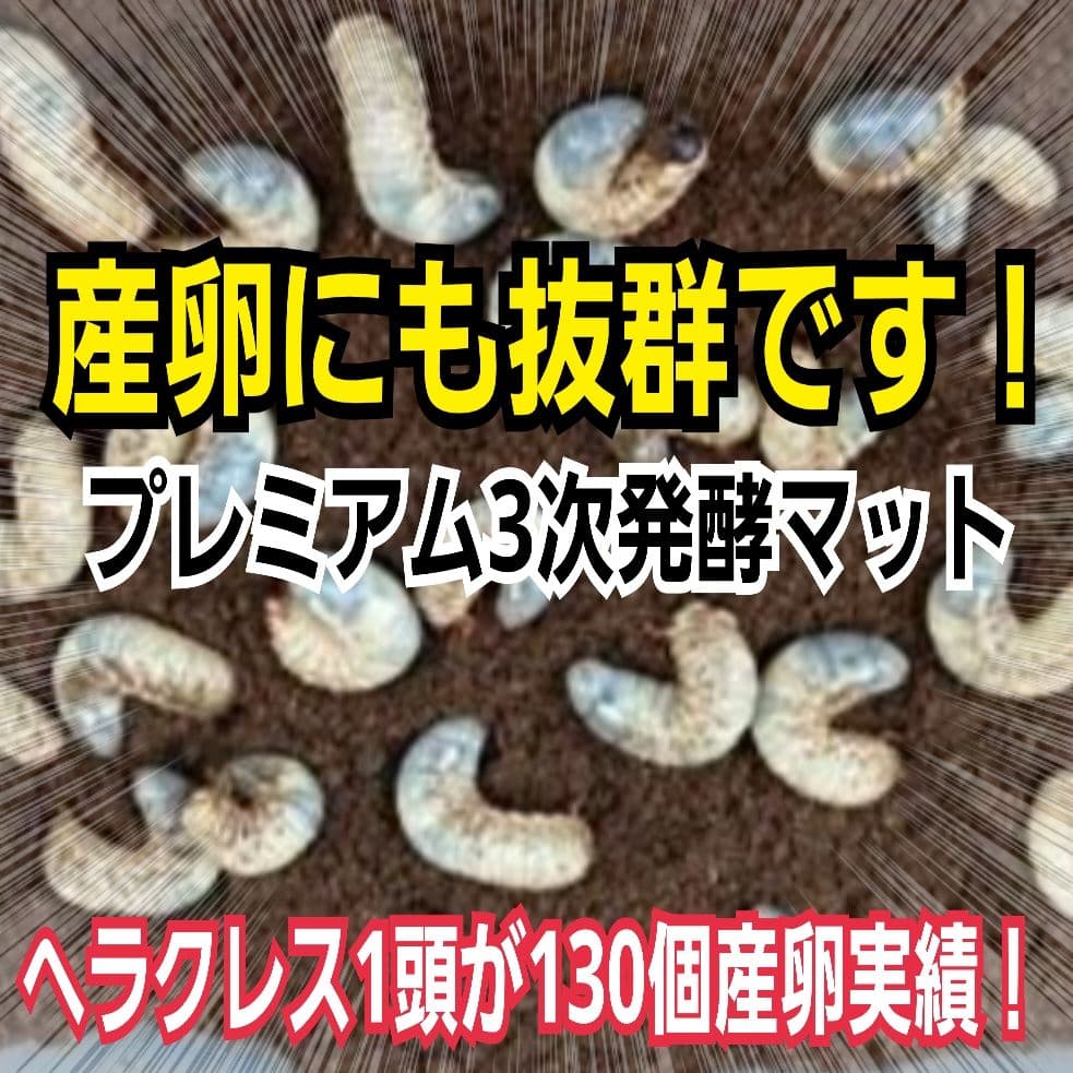 極上！プレミアム3次発酵カブトムシマット【40L】ヘラクレス181ミリ羽化実績！