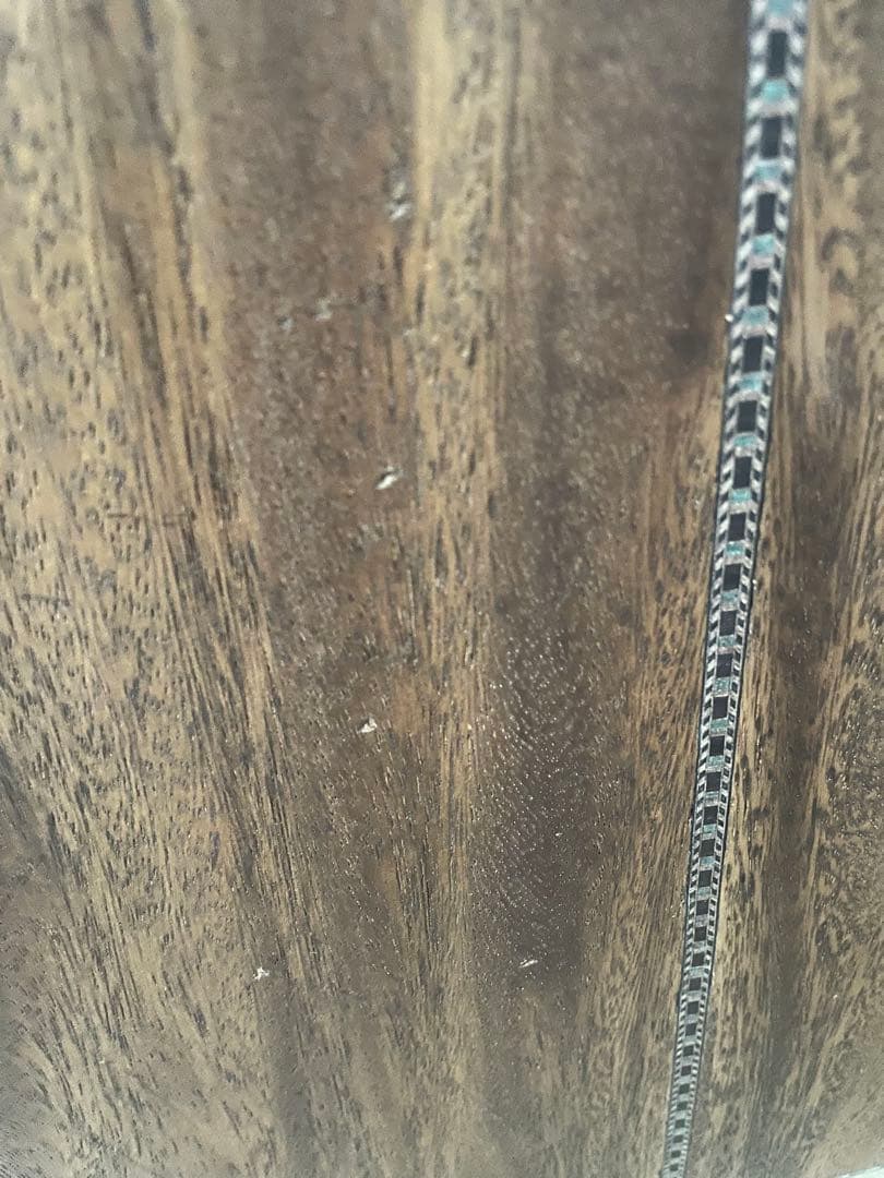 Washburn アコースティックギター ハードケース付き　つるの剛士サイン入り