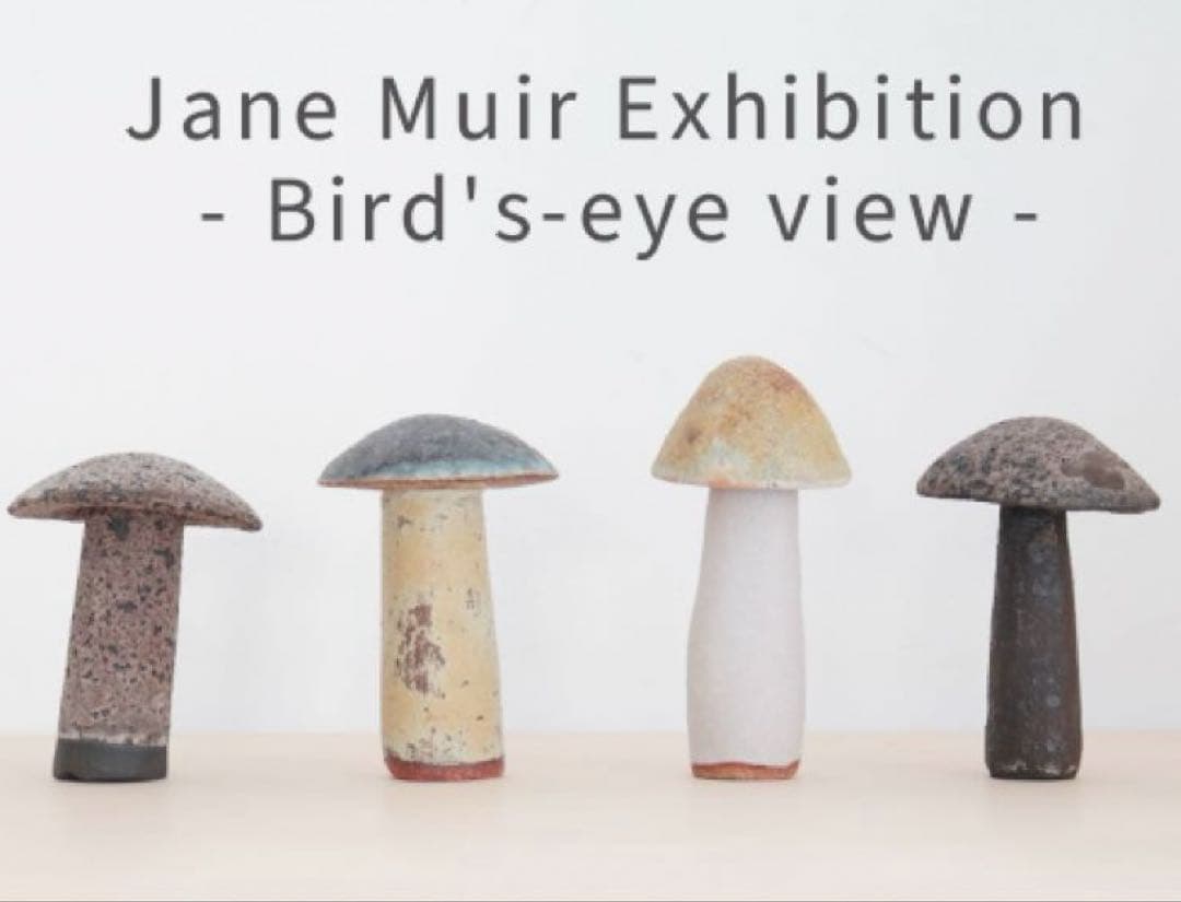 jane muir medium mushroom●mina perhonen