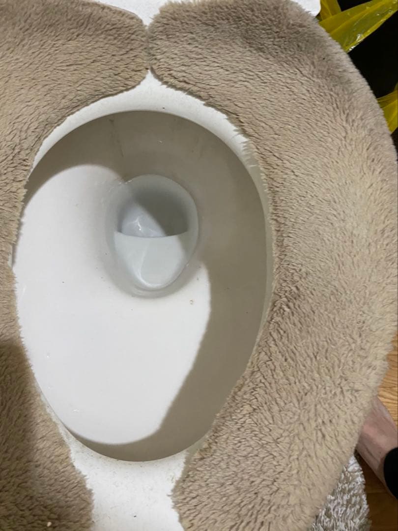 はちみつ　日本蜜蜂のハチミツ　奥山の奥の蜂蜜と花粉入りのはちみつ