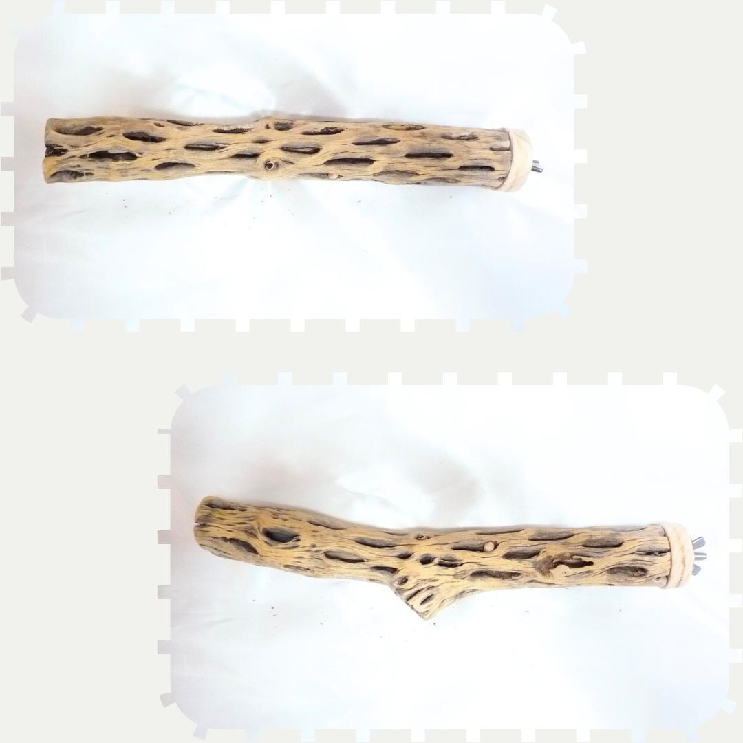 pau　止まり木　カクタス　スケルトン　パーチ　おまとめ２点