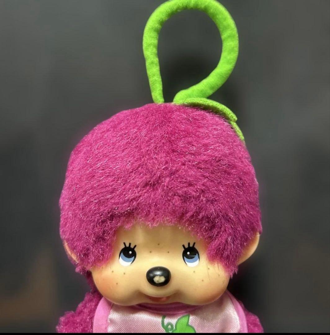 モンチッチ　ぶどう　山梨 セキグチ　ぬいぐるみ　ご当地　フルーツ　レア