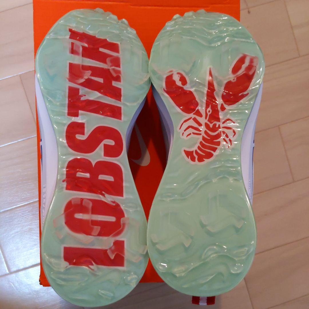 値下げ【限定】NIKE エアズームインフィニティツアー NEXT%26.0cm③