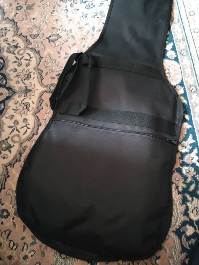 ギター FERNANDES / TEJ-STD SH '24 SW