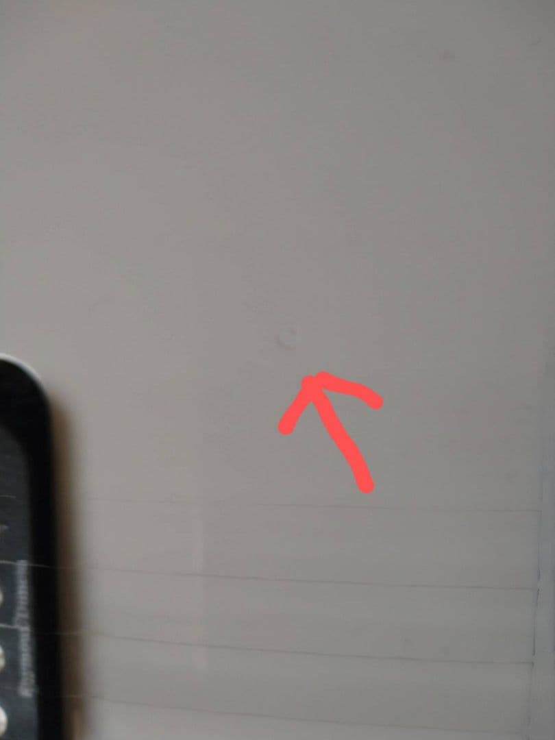 ギター FERNANDES / TEJ-STD SH '24 SW