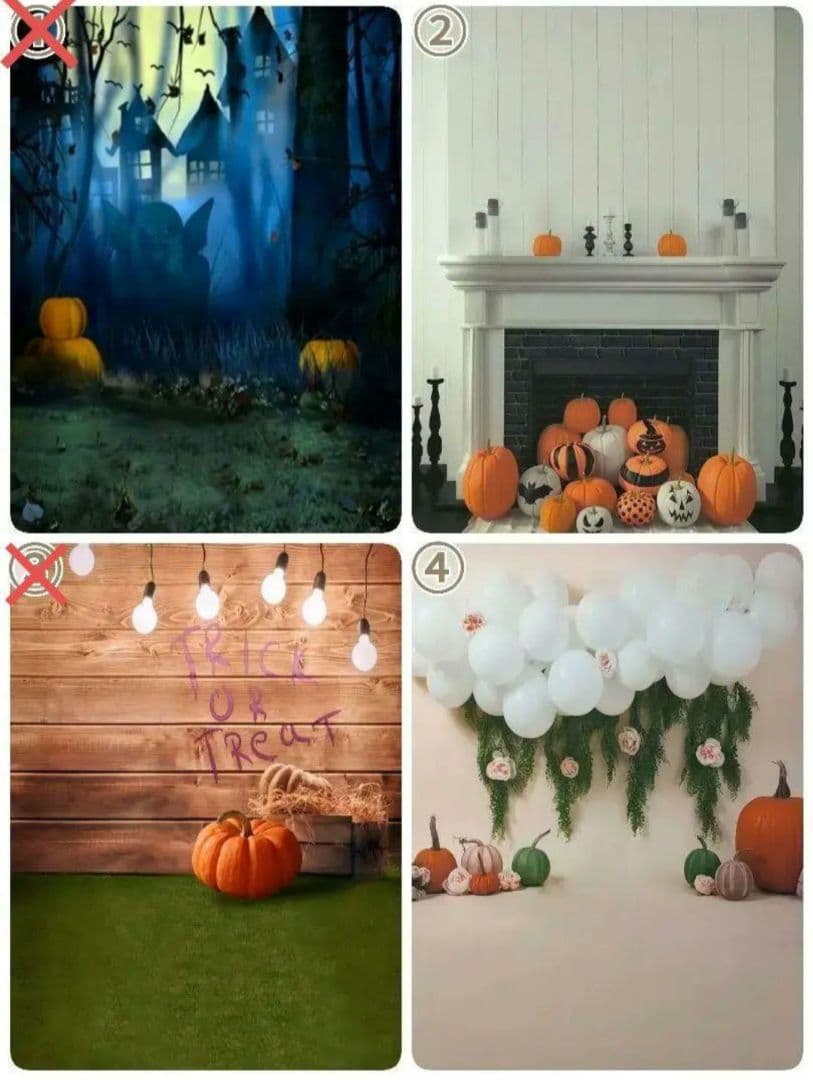 背景布ハロウィン　ペット撮影用フォトブース　業務用トリミングチョーカー販売中