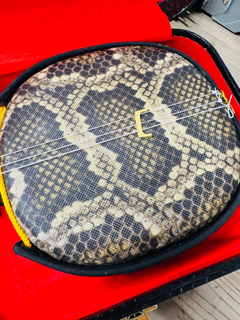 沖縄三線 ハードケース 日本製 楽器 弦楽器 入門 作曲 音楽