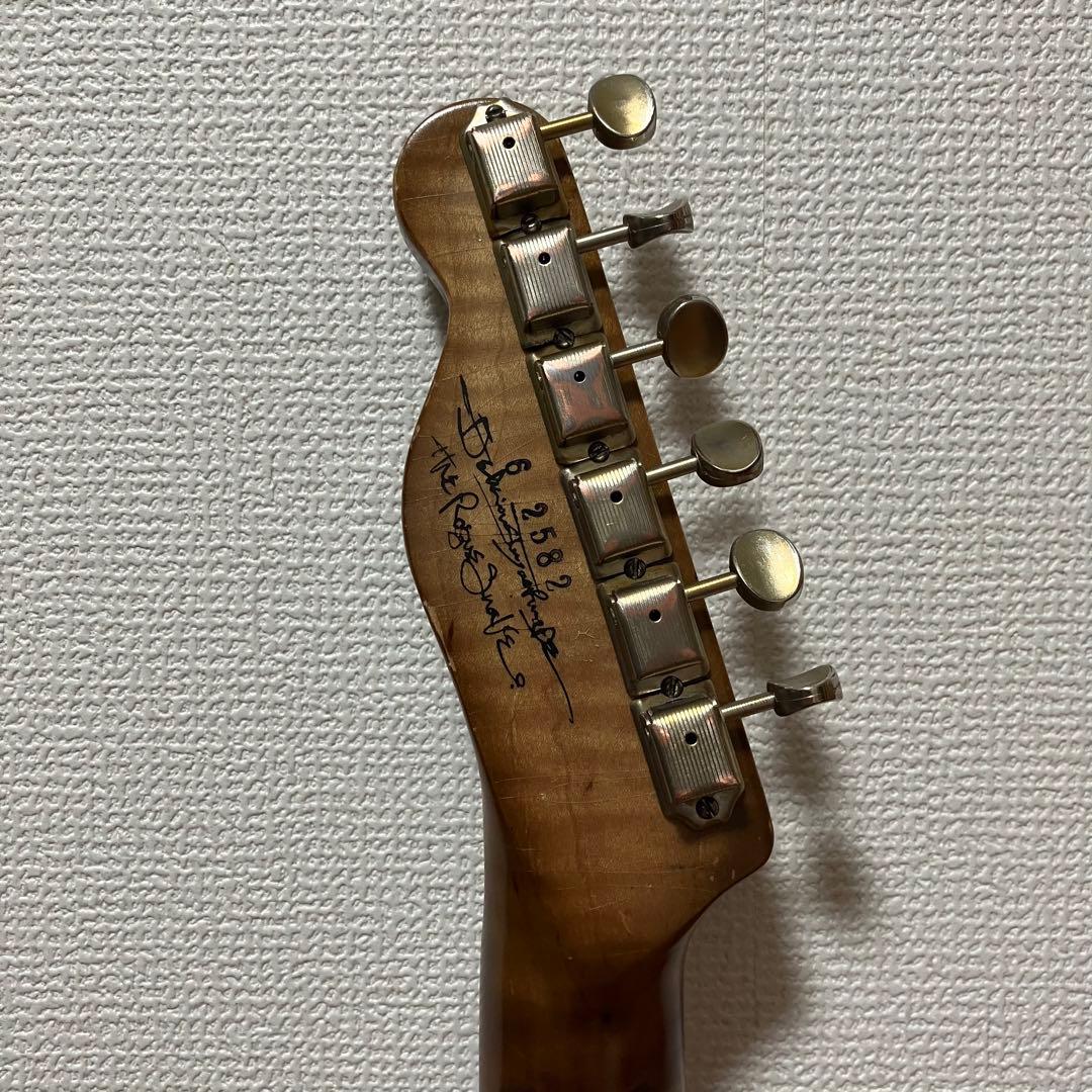 Delicious Taylor made RogueSnake テレキャス