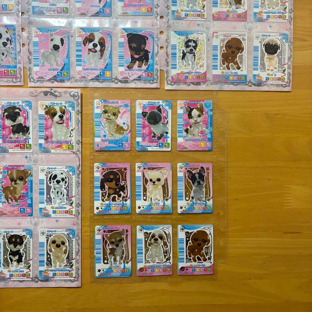 ワンタメ カード プレミアムパピブック コンプリート 限定カード 含 657枚