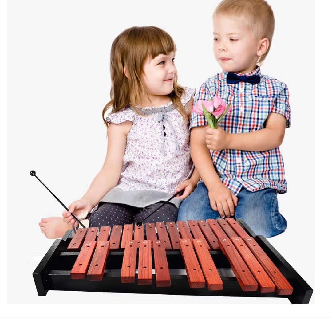 シロフォン　木琴　25音　収納バック付き