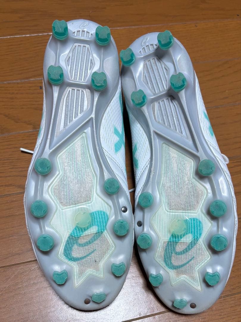 シューズ ASICS DS LIGHT X-FLY PRO 2