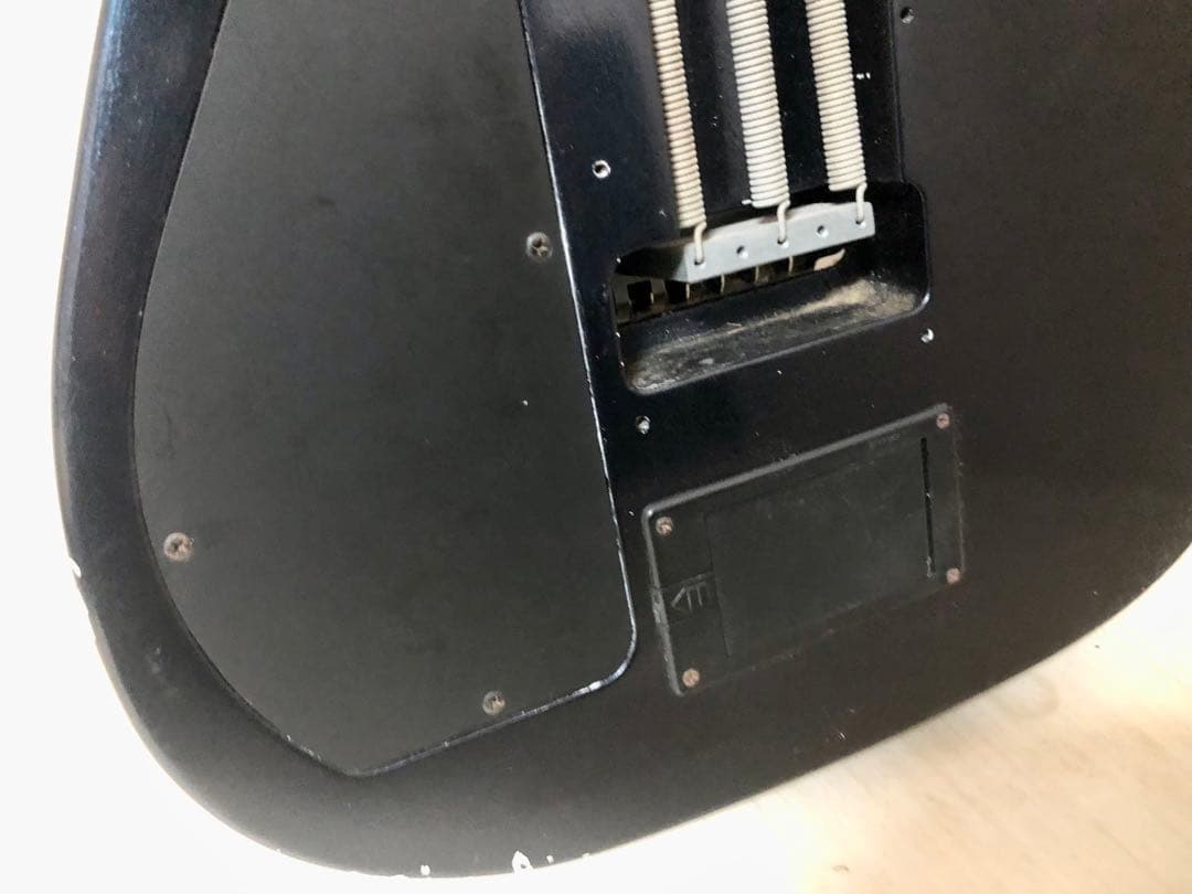 喜*里様 FERNANDES TE-115 BUCK-TICK今井モデル　サステ