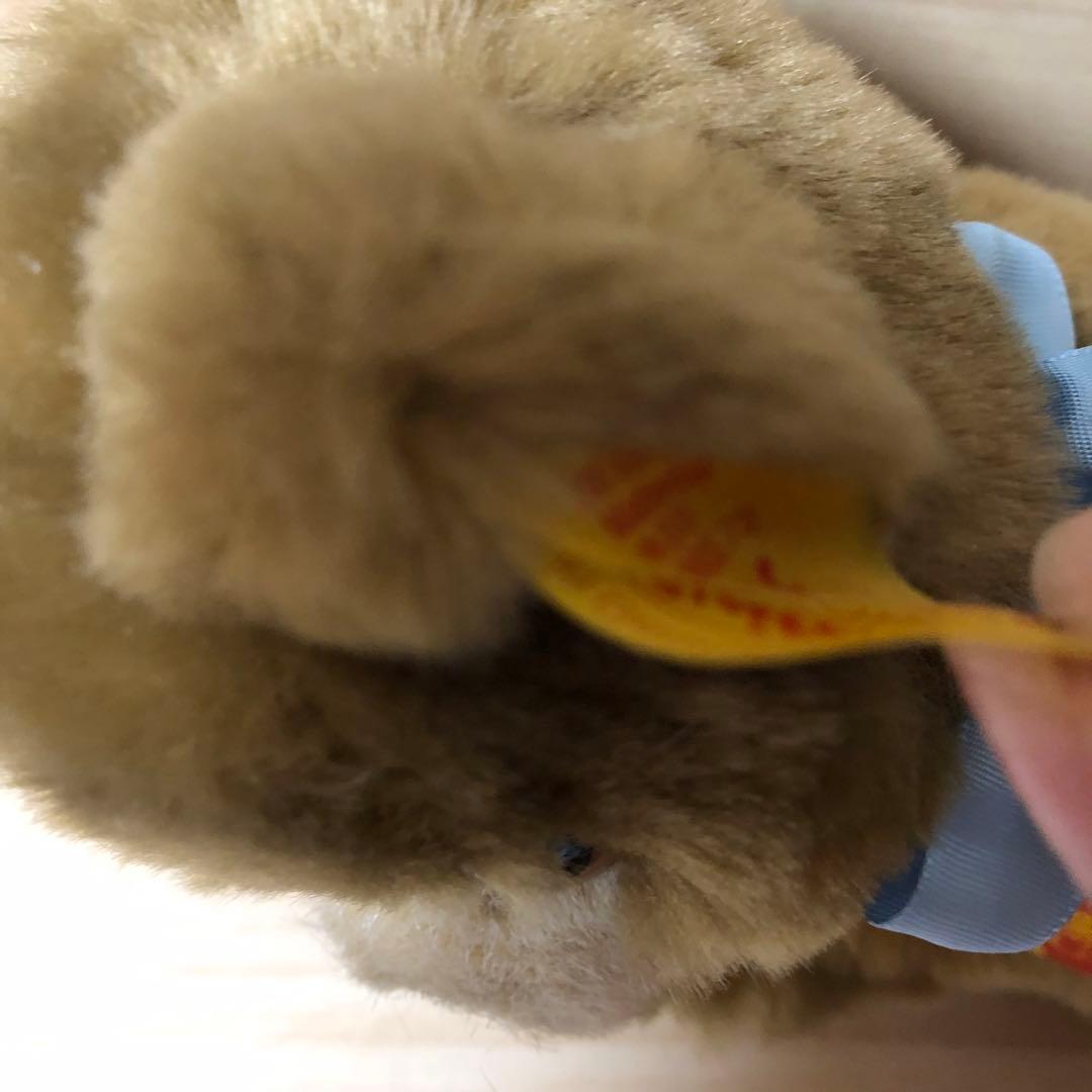 シュタイフ　寝そべりFloppy Bear テディベア　ぬいぐるみ　くま