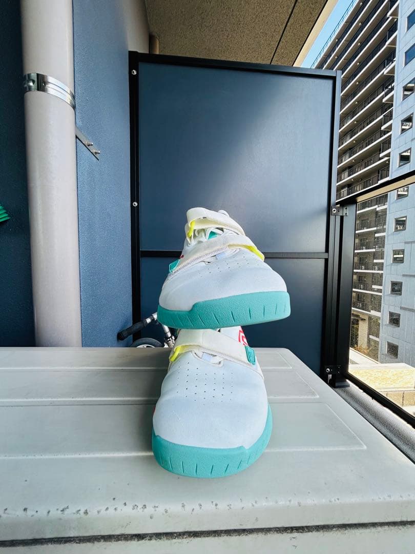 TYR (ティア)L-1 lifter (リフター)限定カラー メンズ 11