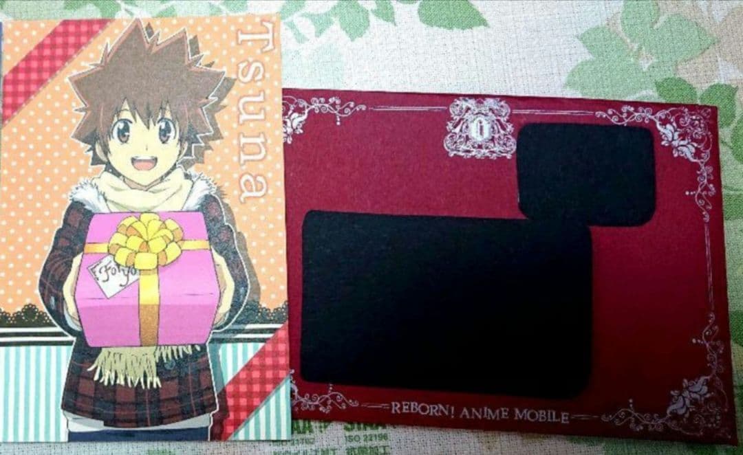 リボアニ ポストカード 沢田綱吉　専用封筒　家庭教師ヒットマンreborn