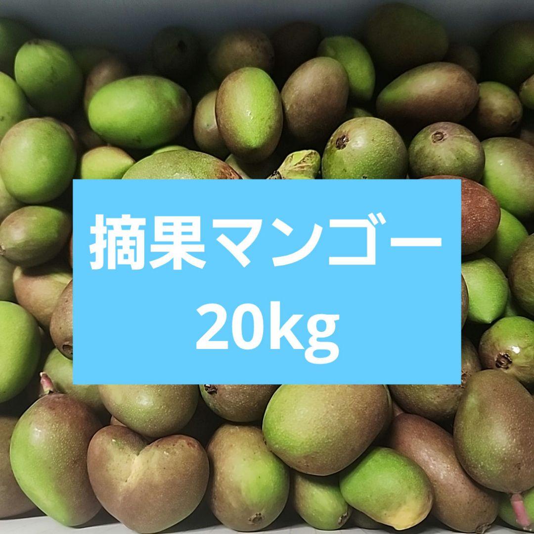 P*r様 沖縄県産 摘果マンゴー 青マンゴー 20kg 常温発送 オークションE