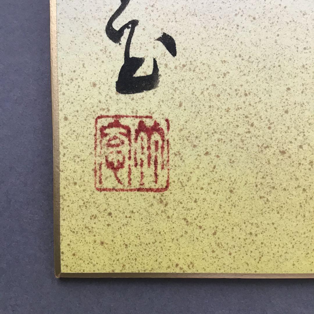 ⭐️色紙　「寿」と山の絵　畳紙　配送用袋　S1032SS