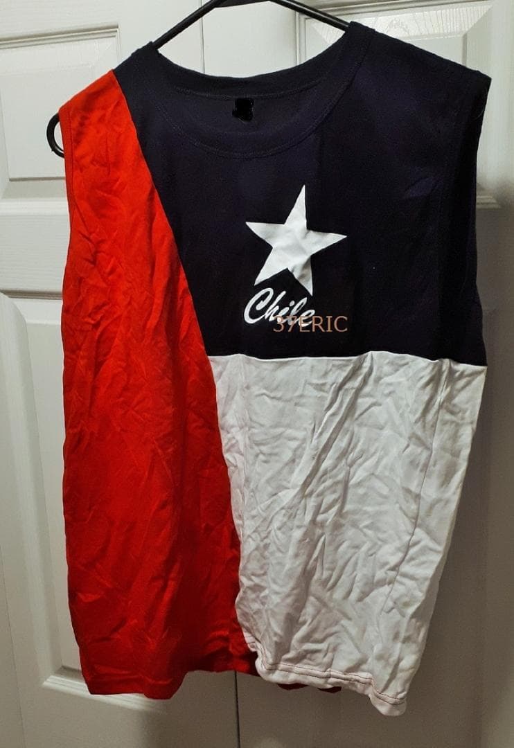 ONE OK ROCK ワンオクロック 南米公演 TOMOYA 実着用 シャツ