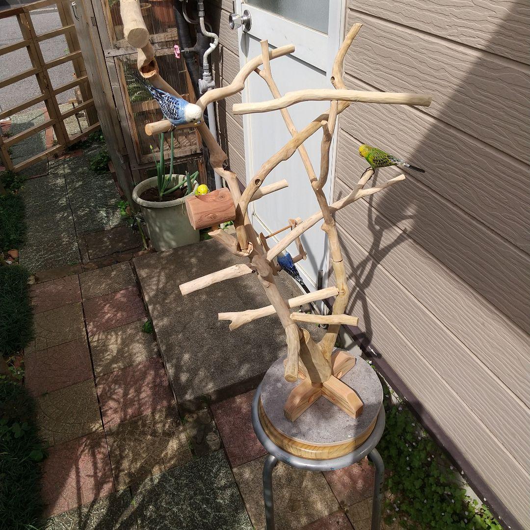 小鳥の楽園バードアスレチックツリージム