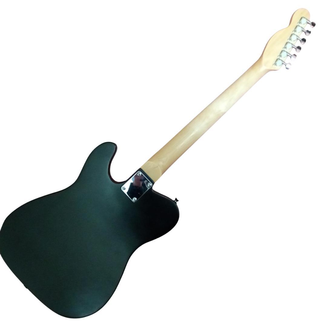 ヘンダー(Hender) 黒猫 テレキャスター シンラインタイプ